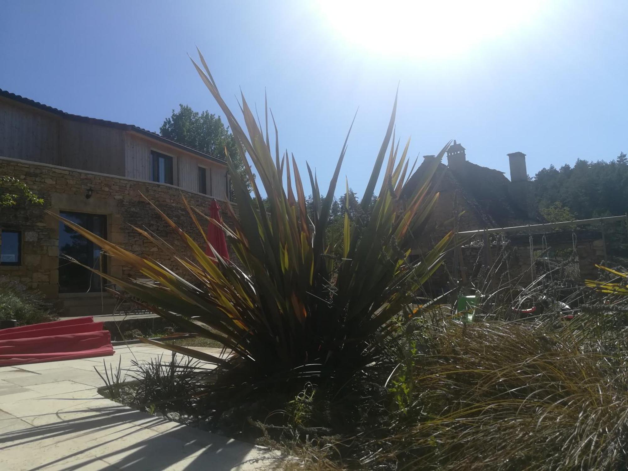 Gite Les Combes Montignac Lascaux Exterior foto